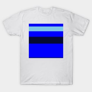 An admirable miscellany of Sky Blue, Blue, Darkblue and Dark Navy stripes. T-Shirt